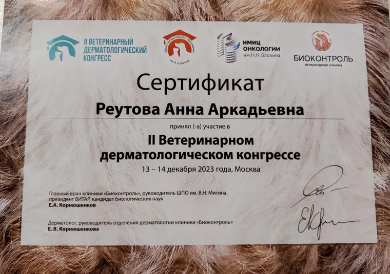 Сертификат Анны Аркадьевны Реутовой — II Ветеринарный дерматологический конгресс
