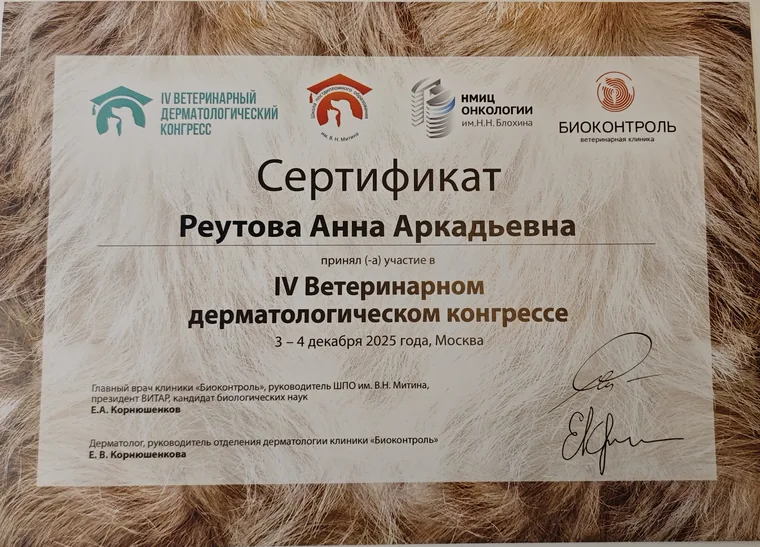 Сертификат Анны Аркадьевны Реутовой — IV Ветеринарный дерматологический конгресс