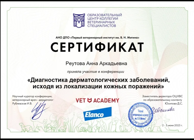 Сертификат Анны Аркадьевны Реутовой — Диагностика дерматологических заболеваний